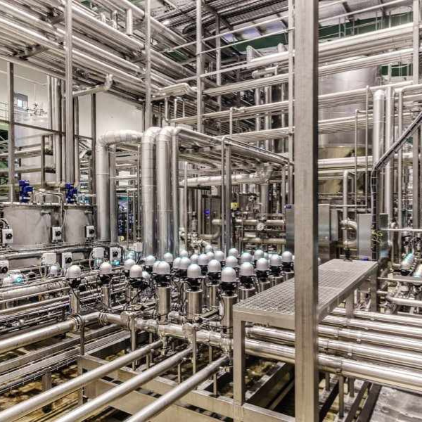 Beverages Processing Projects