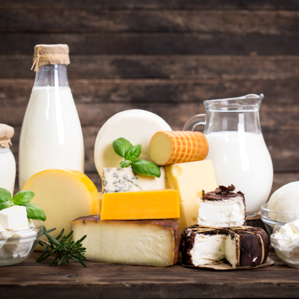 Dairy & Derivatives Processing