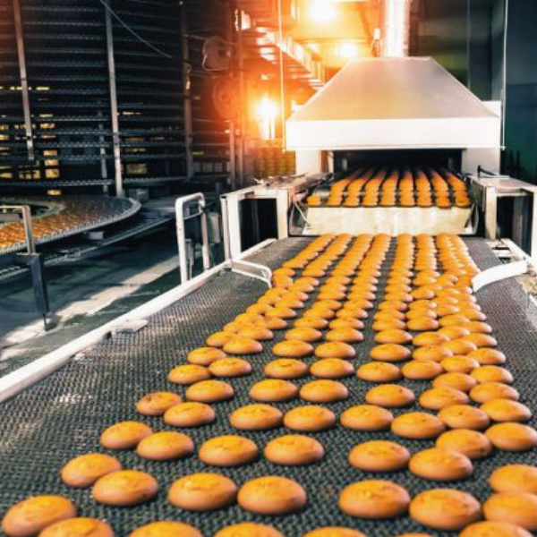Food Processing Projects
