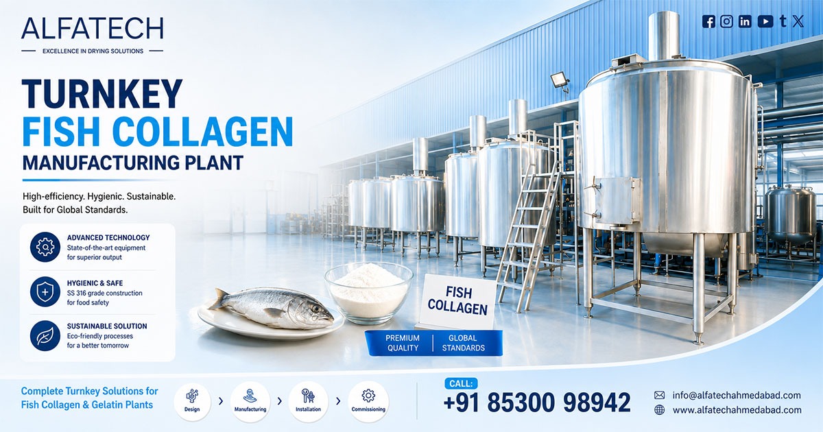 Turnkey Fish Collagen Manufacturing Plant in Gujarat