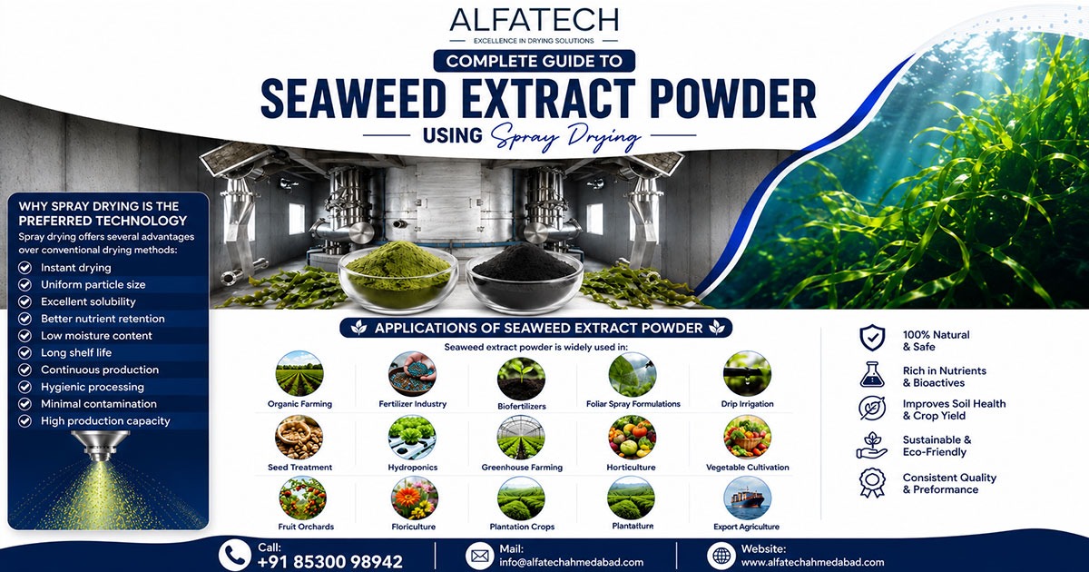 Seaweed Extract Powder Using Spray Dryer in India